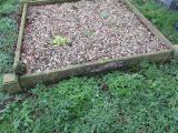 image of grave number 374102